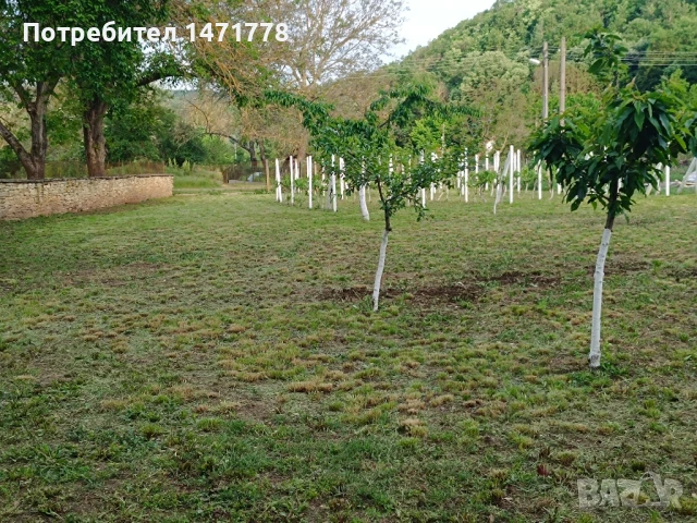  Къща в с.Могилово, снимка 2 - Къщи - 50708859