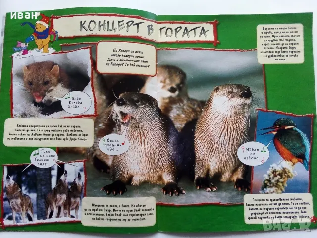 Списания "Мечо Пух", снимка 5 - Списания и комикси - 49269301