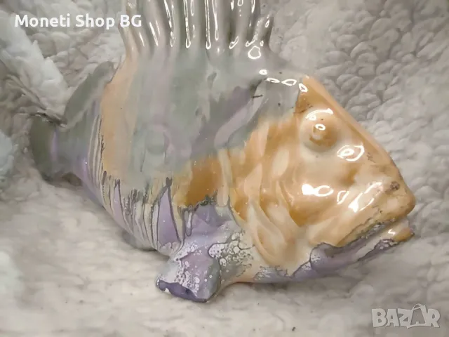 Риба порцелан