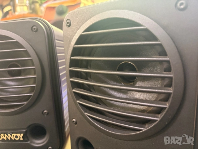 Тонколони Tanoy CPA5, снимка 3 - Тонколони - 53407053