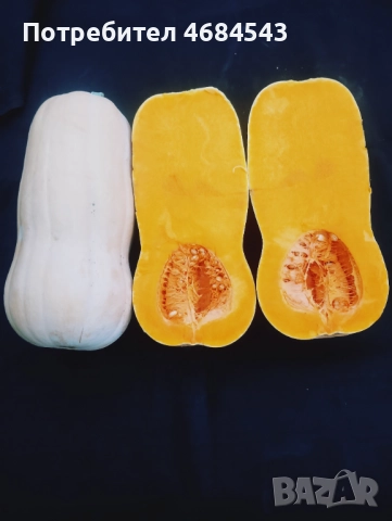 Тикви, снимка 3 - Домашни продукти - 52811884