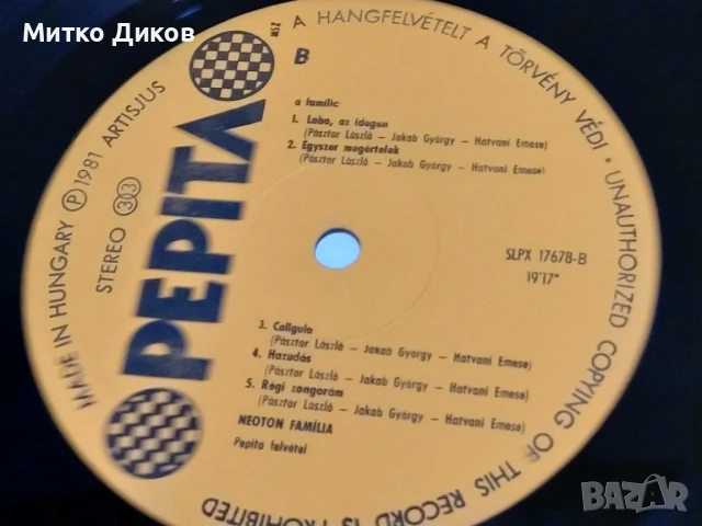 Неотон Фамилия голяма плоча 2 броя , снимка 4 - Грамофонни плочи - 51376892