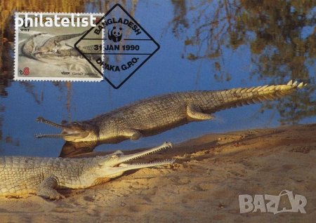 Бангладеш 1990 - 4 броя Карти Максимум - WWF, снимка 3 - Филателия - 38896522