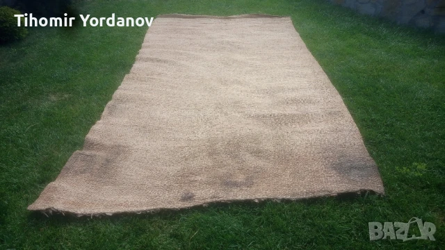 Рогозка.( царевична шума)., снимка 6 - Антикварни и старинни предмети - 50785820