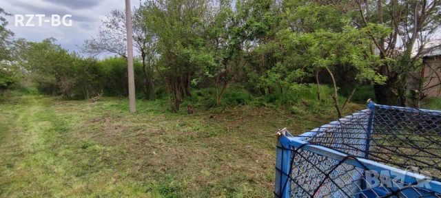 Почистване, косене, подкастряне, подръжка на терени, снимка 3 - Почистване на домове - 51525327