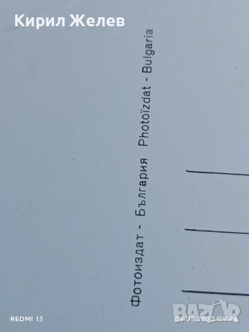 Стара картичка МАРГАРИТА РАДИНСКА ПЕВИЦА през 1971г. печели Фестивала Златния Орфей 50749, снимка 7 - Колекции - 51305570