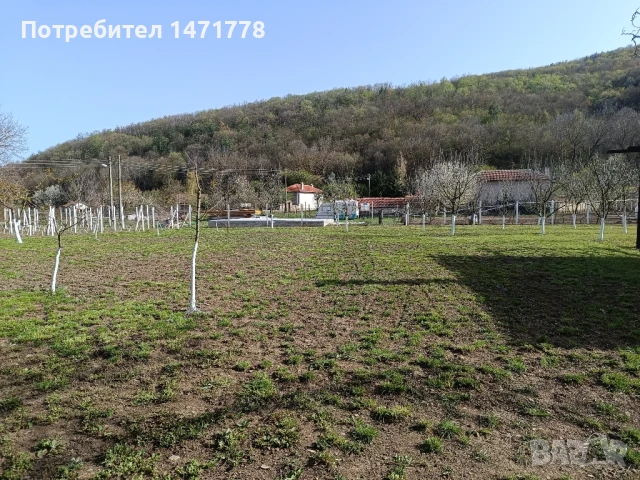  Къща в с.Могилово, снимка 7 - Къщи - 50708859