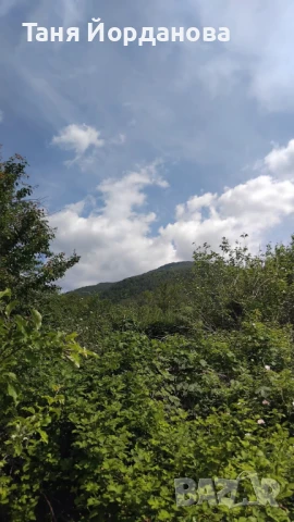 Продавам земеделска земя  950 кв.м – с. Овчарци, до Сапарева баня Цена: 55 000 лв. , снимка 1