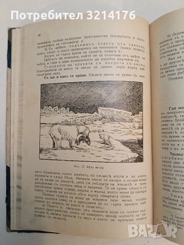 Животнитѣ от биологично гледище - Борис Митов (1935, Луксозна изработка, Отлично състояние), снимка 10 - Специализирана литература - 52773226