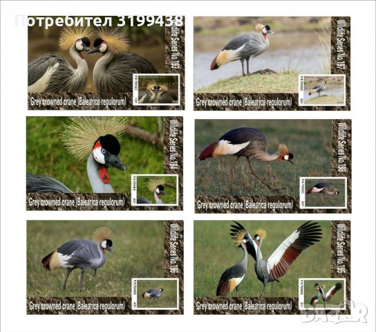 Чисти блокове Фауна Птици Сив коронован жерав 2020 от Тонго, снимка 1