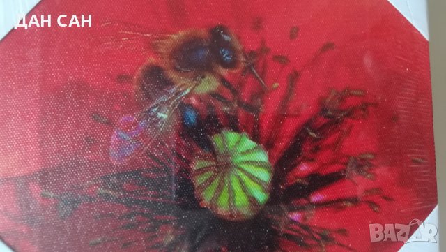 неразпечатвана картина пчела Франция, снимка 1 - Картини - 27863209