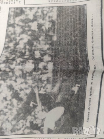 Продавам вестник Народен спорт 84/1967 Левски прегръща купата, снимка 2 - Списания и комикси - 43725053