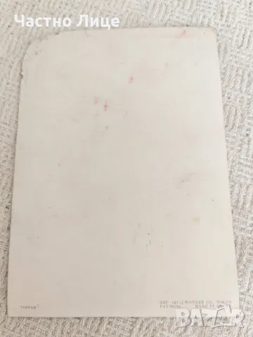 Оригинална Японска Стереокартичка Стерео Картичка 1970те г, снимка 3 - Колекции - 50335416