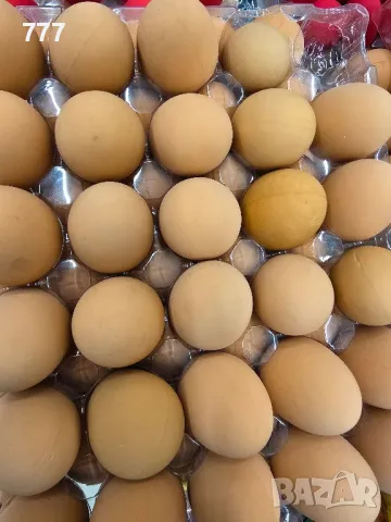 подскачащи гумени яйца , снимка 2 - Декорация за дома - 49039151