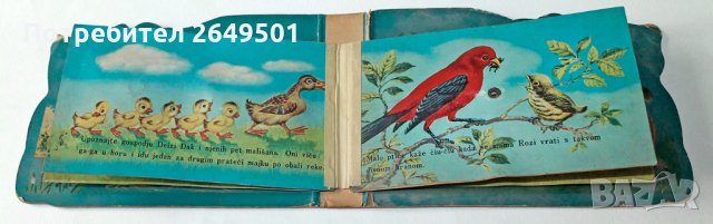 Стара Сръбска детска книжка Говорещо Коте със Звуци 1950те, снимка 4 - Колекции - 34989667