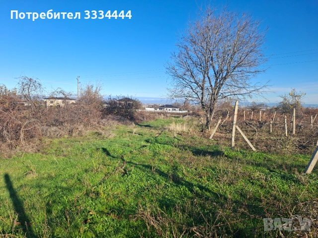 Продавам имот тип лозе, местност "Комсала", с.Марково, гр. Пловдив, снимка 6 - Земеделска земя - 53608503