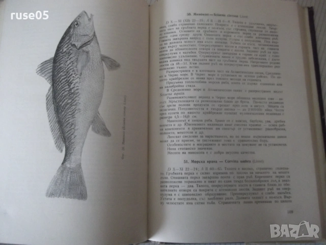 Книга "Рибите в Черно море - Колектив" - 248 стр., снимка 4 - Специализирана литература - 53219873