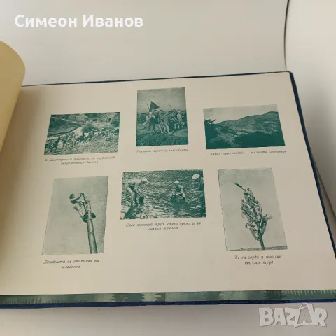 Рядък Албум Трети димитровски випуск ПТТ институт 1948-1950 B0107, снимка 6 - Антикварни и старинни предмети - 48692908