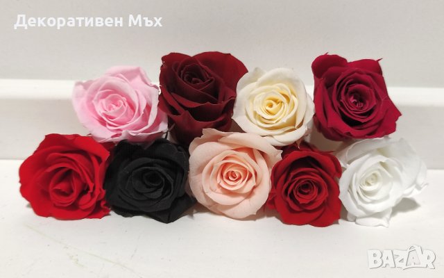 Естествени стабилизирани рози и цвят роза-за дома, подарък, декорация с мъх, снимка 5 - Декорация за дома - 31836873