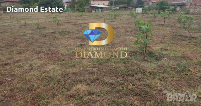 Парцел в село Воден, общ. Димитровград, снимка 3 - Парцели - 51753704