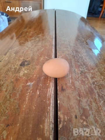 Старо дървено яйце #14