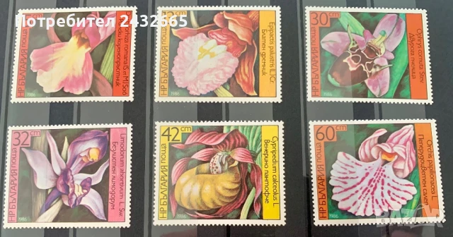 2618. България 1972 = БК 3482 /87 : ” Флора. Цветя. Орхидеи. ”, **, МNH