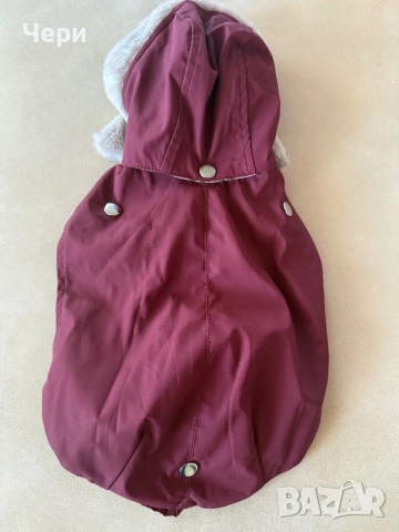 Дрешка за дребна порода куче, снимка 8 - За кучета - 53074191