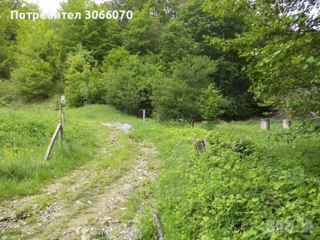 Продавам имот до река, снимка 4 - Къщи - 50265257