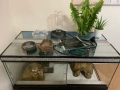 Терариум за гекон/гущер 60х30х30 с 2 нагреватея, купички и укрития, снимка 5