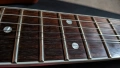 Caparison Dellinger - Natural Finish, made in Japan! ел.китара, снимка 14