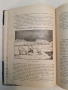 Животнитѣ от биологично гледище - Борис Митов (1935, Луксозна изработка, Отлично състояние), снимка 10
