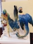 Порцеланова фигура-лот папагали фирма ЕНС (ENS) Германия-Тюрингия, снимка 4