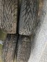 Алуминиеви джанти с гуми Silverstone 195/50/R15, снимка 10