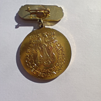 медал награда, снимка 2 - Антикварни и старинни предмети - 44906244