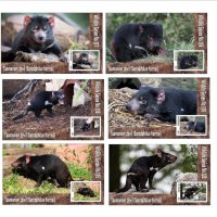 Чисти блокове Фауна Тасманийски Дявол 2019 от Тонго, снимка 1 - Филателия - 37686790