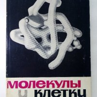 Молекулы и клетки - Сборник - 1966г. , снимка 1 - Специализирана литература - 39010775