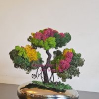 Дърво Бонзай в керамична кашпа, снимка 4 - Декорация за дома - 41836211