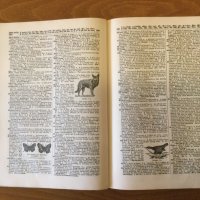 Funk & Wagnalls Standard Desk Dictionary 1936 г., снимка 4 - Чуждоезиково обучение, речници - 37032908