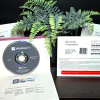 Windows 11 Home/Professional DSP OEI DVD Пакет, снимка 1 - Други - 39043175