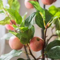 Продавам декорация ябълково дърво в саксия H 100 cm, снимка 5 - Декорация за дома - 29068590