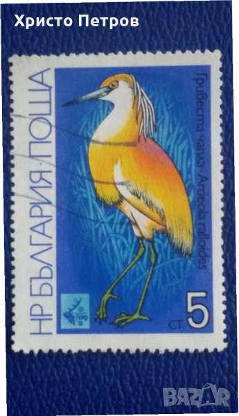 БЪЛГАРИЯ 1981 - ФАУНА, БЛАТНИ ПТИЦИ, снимка 1