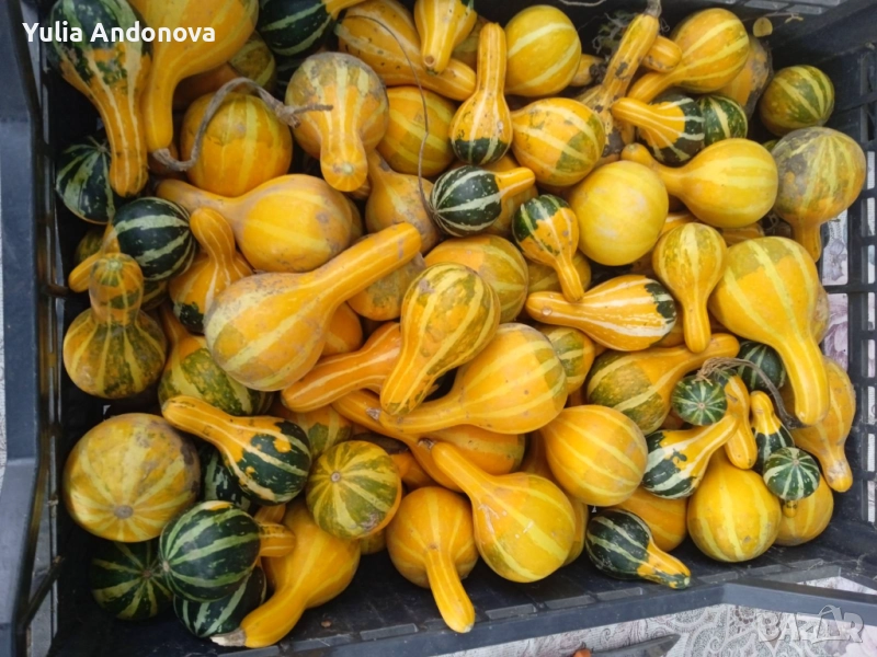 Кратунки за декорация, снимка 1