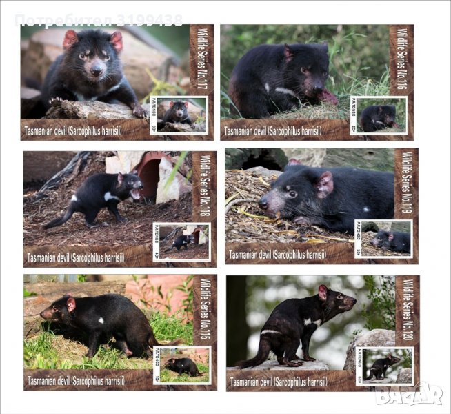 Чисти блокове Фауна Тасманийски Дявол 2019 от Тонго, снимка 1