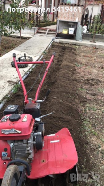 Фрезовам дворни места, снимка 1