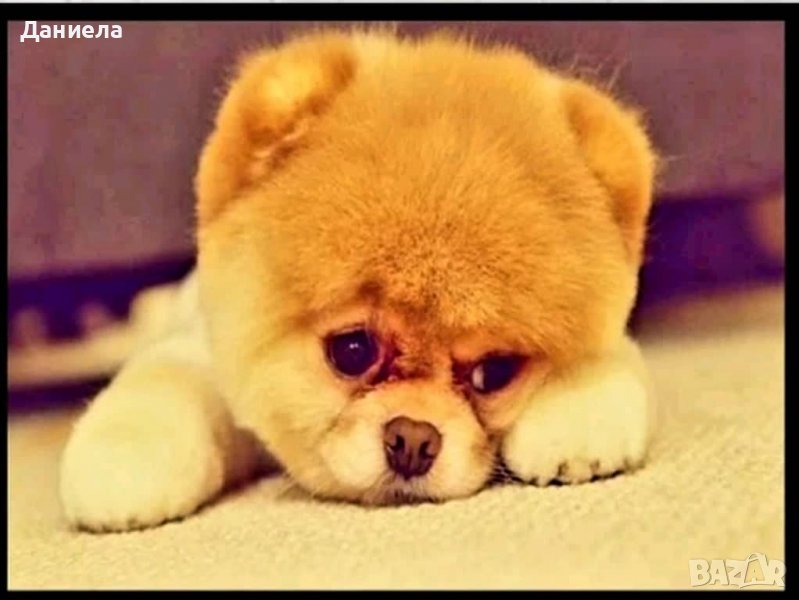 Диамантени гоблени за изработка, снимка 1