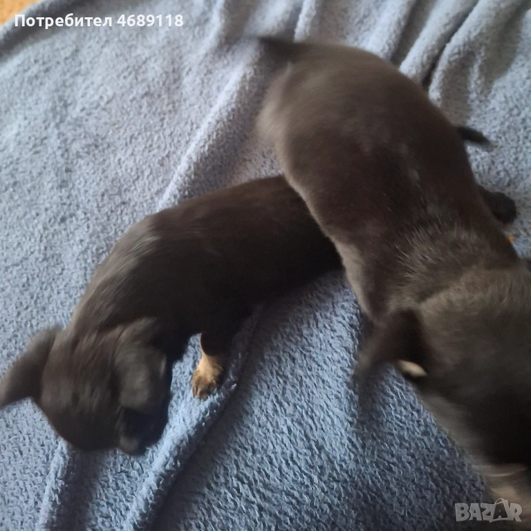 Продават се , снимка 1