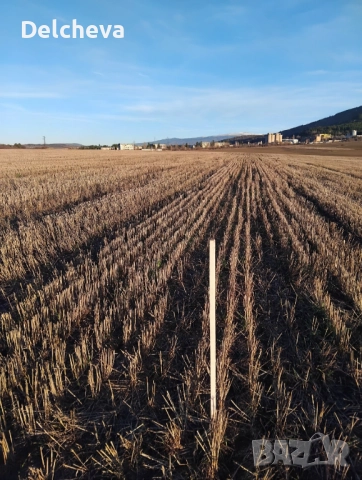 Земеделска земя област Перник, град Батановци 4451кв.м, снимка 8 - Земеделска земя - 52595651
