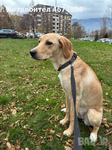 Кари на 8 месеца