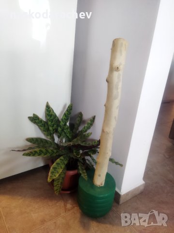 Катерушка, аксесоар за котета за точене на ноктите, снимка 17 - За котки - 39293018