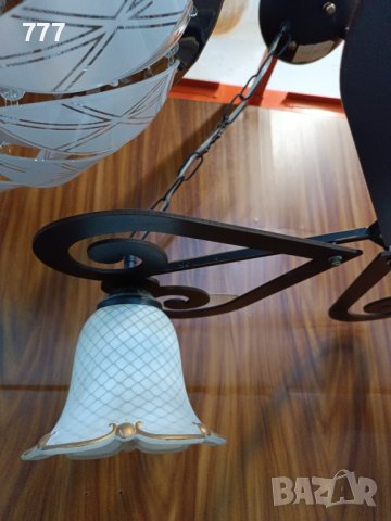 полилей , снимка 3 - Полилеи - 43611635